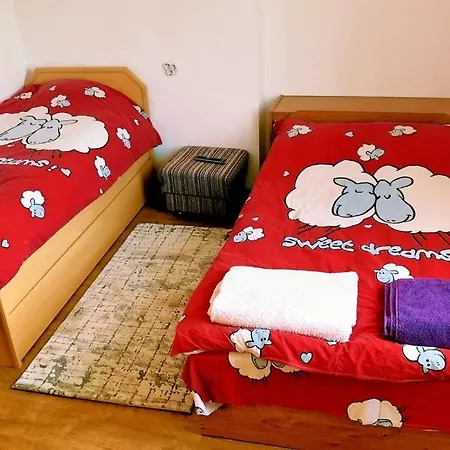 нouse With Cute Little Yard