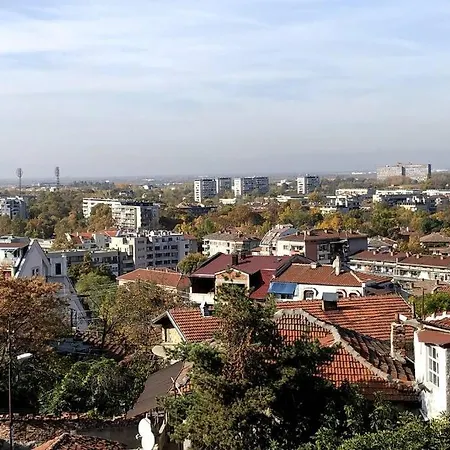 нouse With Cute Little Yard