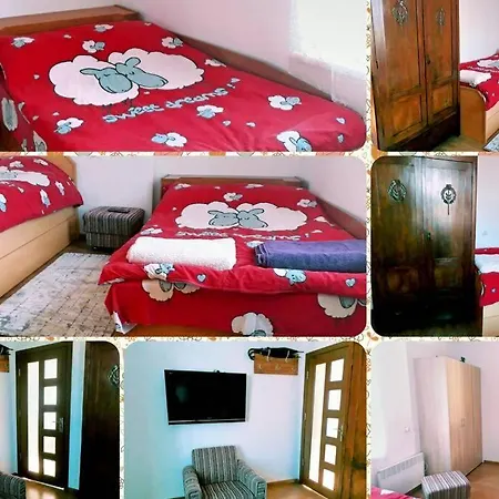 нouse With Cute Little Yard *